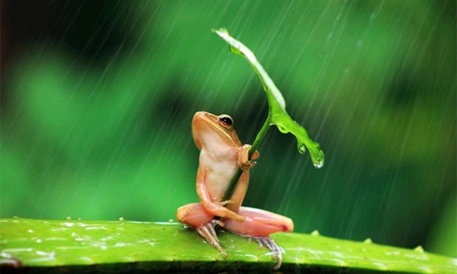 Oggi è la giornata dell’ambiente