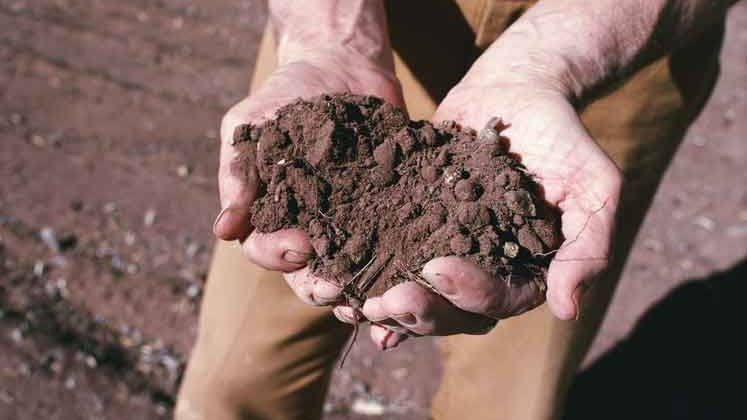 Siccità. Uno scenario drammatico. Sistema agricolo al tracolllo