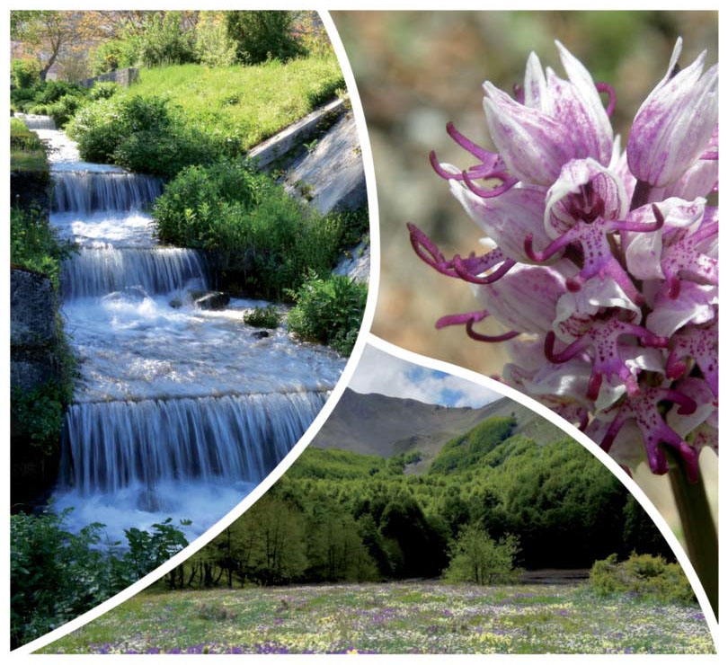 A passi di biodiversità