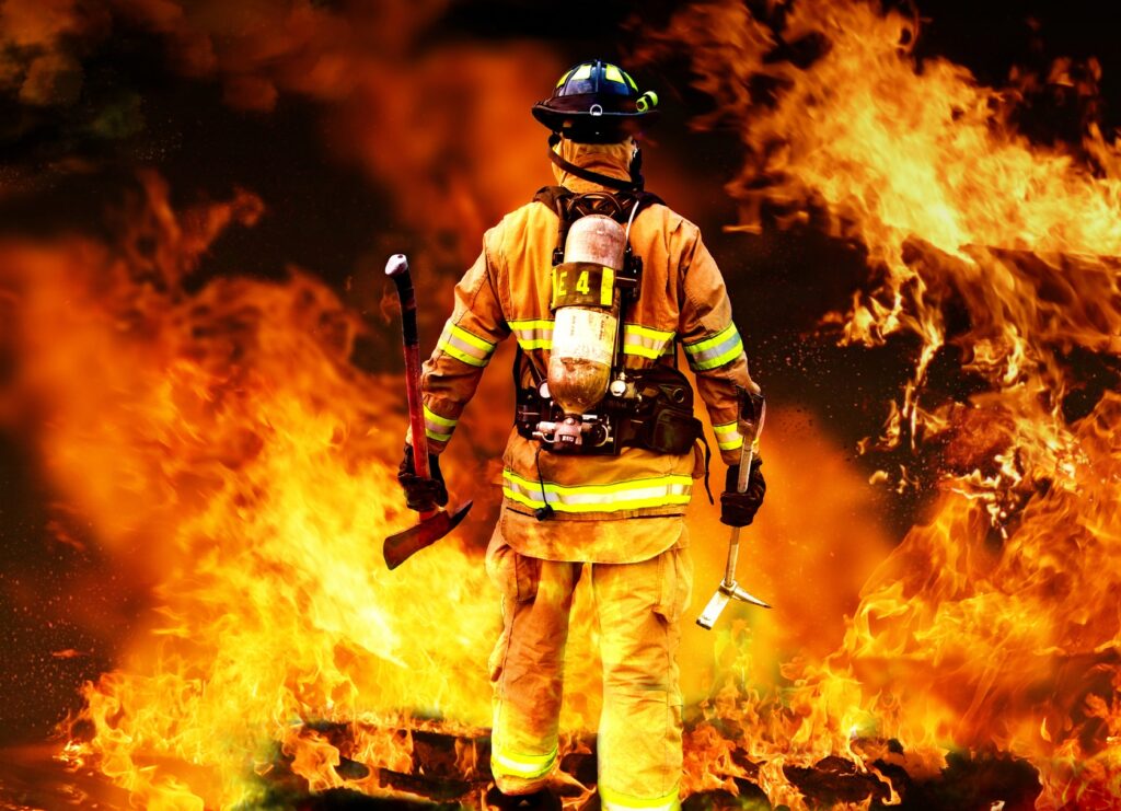 Gli incendi colpiscono anche la natura protetta