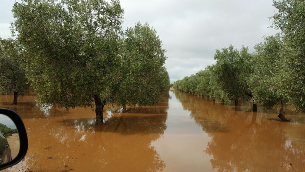 Maltempo. L’Italia affoga senza campagne. La superficie agricola al minimo storico
