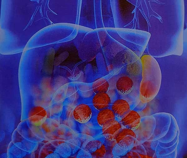 Probiotici: i batteri alleati dell’intestino