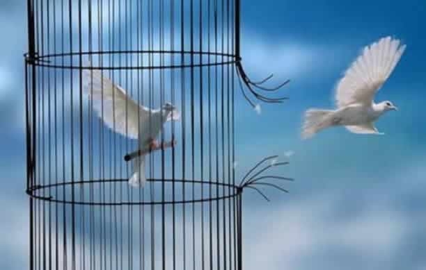 Coaching: la libertà come valore. Tuttavia da cosa vogliamo essere realmente liberati?