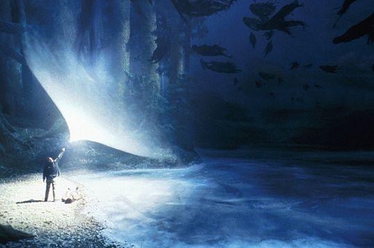 La Magia del Coaching e l’Expecto Patronum!