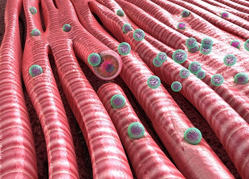 ‘Cupido’, i nanofarmaci inalati arrivano al cuore