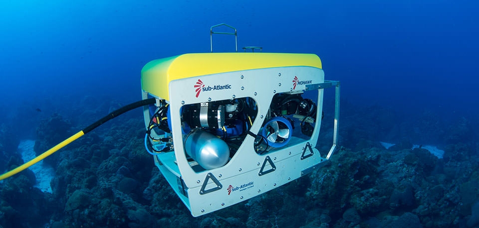 Arrivano i robot nelle acque dell’Antartico per studiare il clima