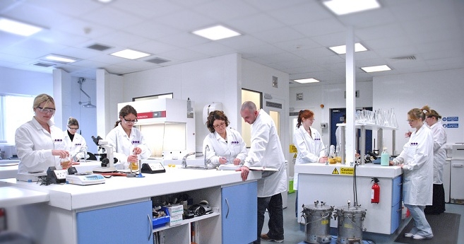 Una ricerca svela che troppi grassi e calorie infiammano il sistema immunitario