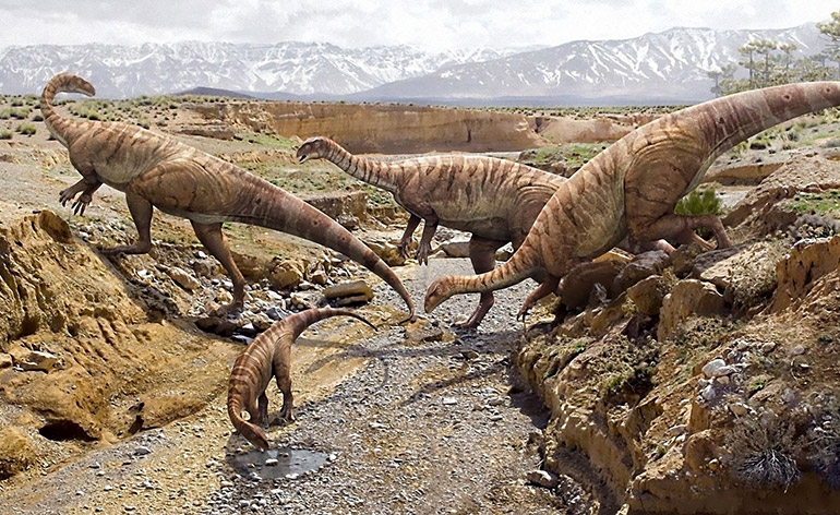 Astrofisica.  Roberto Fusco Femiano: “Con i dinosauri c’è andata proprio bene…”