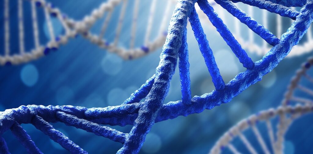 Grazie all’enzima separasi la replicazione del Dna avviene a velocità controllata