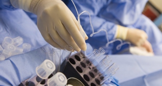 Medicina. Individuata la proteina causa dello scompenso cardiaco