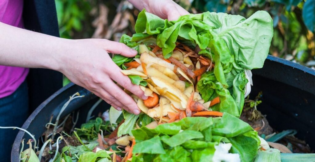 Boom di sprechi alimentari in Italia