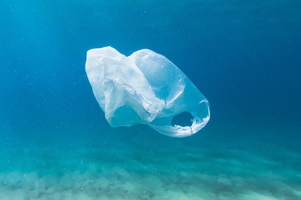 Buste ecologiche di bioplastica. Discutibile biodegrabilità