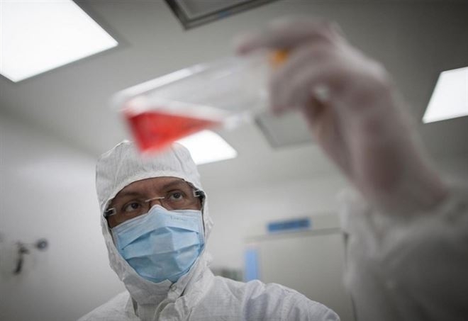Creato il primo embrione totalmente artificiale, in futuro esseri viventi da laboratorio