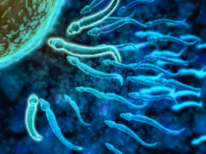 I numeri del biologico in Italia