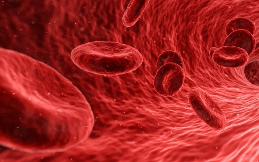 Cure ‘dal di dentro’ contro le malattie del sangue. Le nuove frontiere dell’immunoterapia