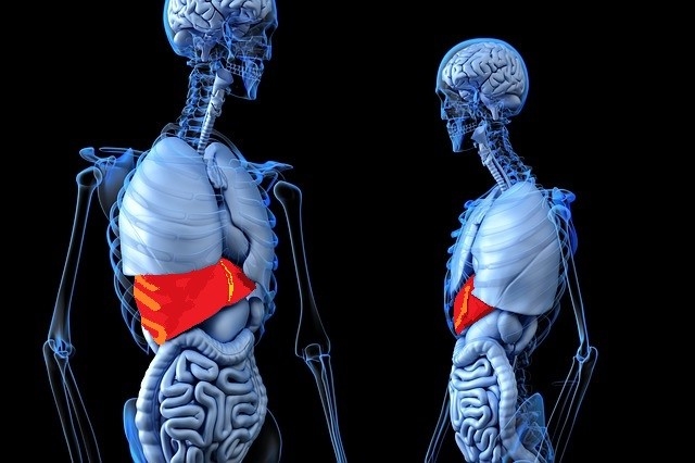 Dal Policlinico di Sant’Orsola di Bologna arriva una nuova terapia contro la cirrosi epatica