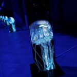 AcquariodiRoma_4