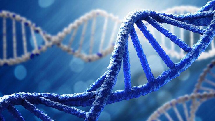 Lo stress altera il DNA. Lo rivela uno studio della Sapienza