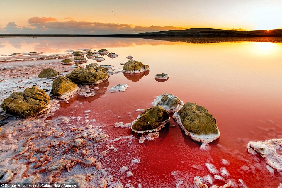 Sotto il ghiaccio di Marte un lago salato. Nuova scoperta italiana