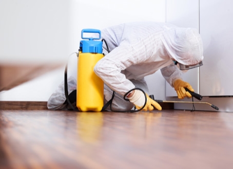 Disinfestazione: perché è importante soprattutto in estate