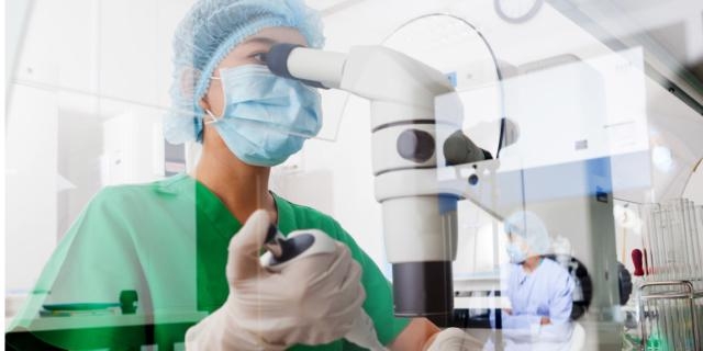 Riprodotte le cellule cerebrali per curare l’ictus