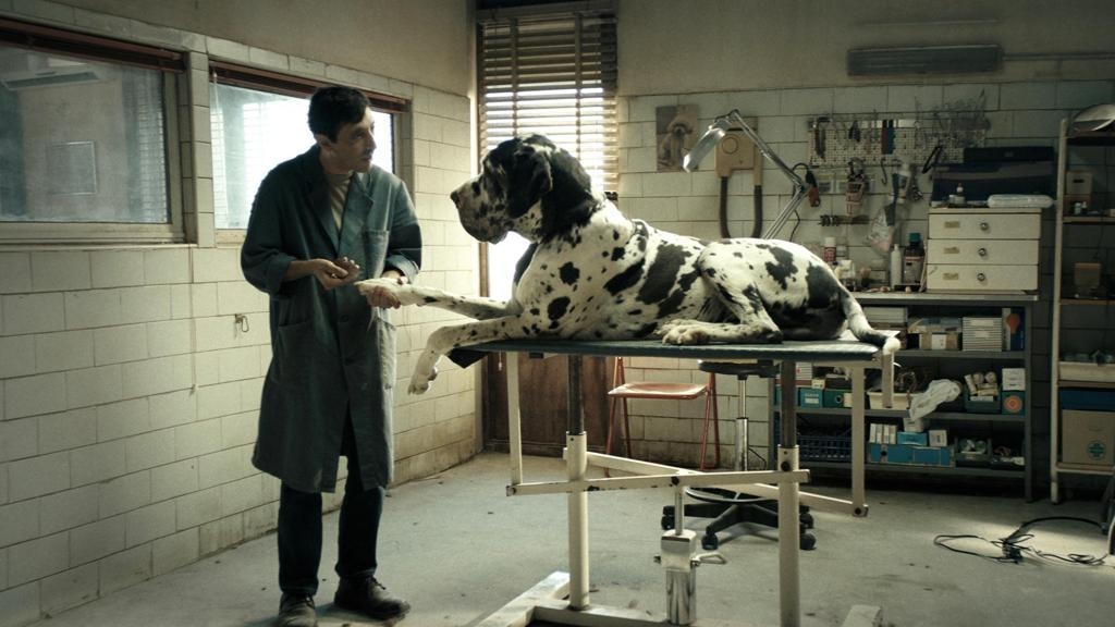 SNGCI su candidatira all’Oscar di “Dogman” di Matteo Garrone
