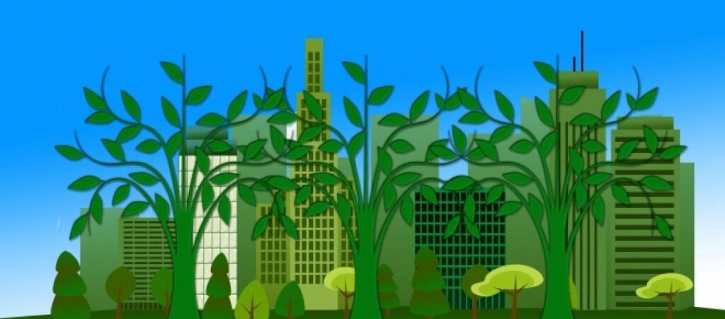 Il lavoro del futuro è green: cercasi competenze ambientali