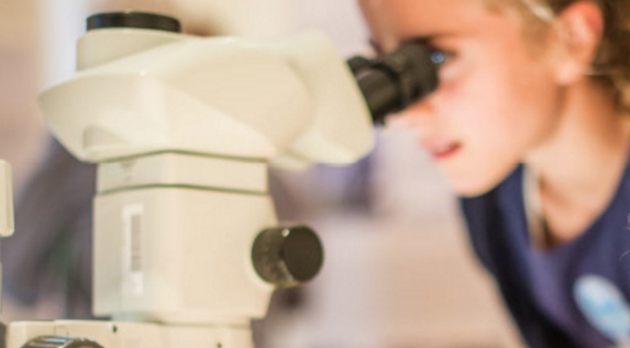 Notte europea dei ricercatori: “Be a citizen Scientist”