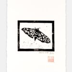 09_-_Linografia_tiratura_limitata_farfalla