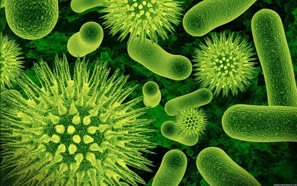 Minicircles: osservata per la prima volta la formazione di DNA ibridi