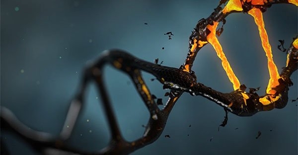 Dall’Università Sant’Anna arriva il primo dispositivo basato sulle tecnologie fotoniche