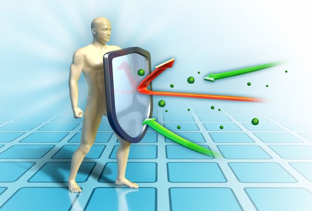 Risvegliare il sistema immunitario per colpire il tumore