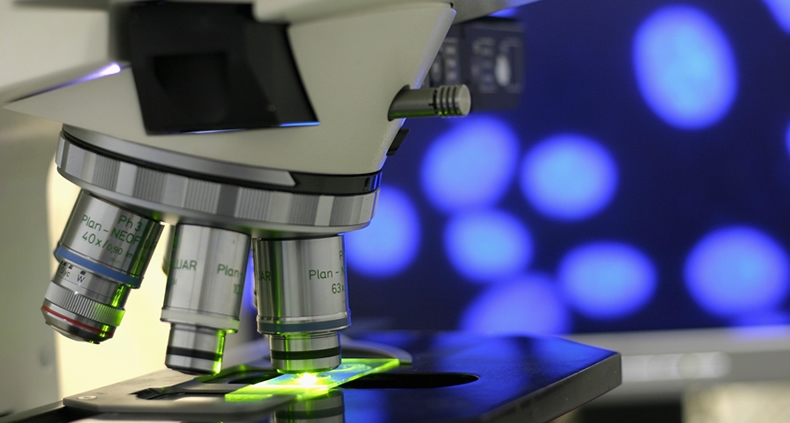 Dalla microscopia nuove opportunità per robot flessibili