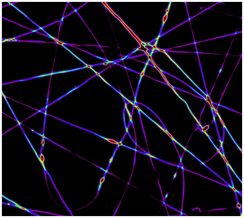 Arriva il nuovo nano-laser a ragnatela