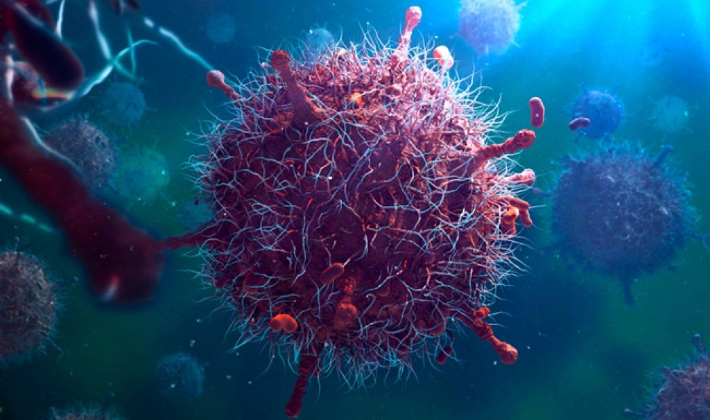Una nuova strategia contro il West Nile e altri virus emergenti