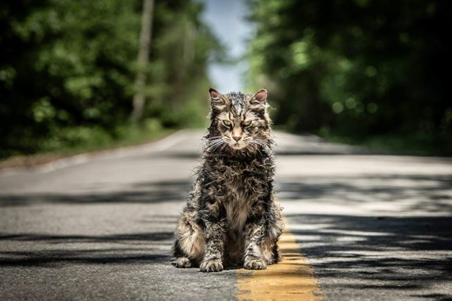 Pet sematary, Il cimitero degli animali, da un romanzo di Stephen King