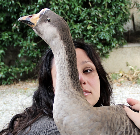 L’Arte può salvare una vita? L’attivismo animalista nella pratica di Tiziana Pers