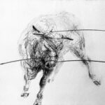 Tiziana_Pers_-_The_Broken_Line_-_El_toro_Tame_-_2018_grafite_e_inchiostro_su_carta_cotone_courtesy_lartista_e_aA29project_room
