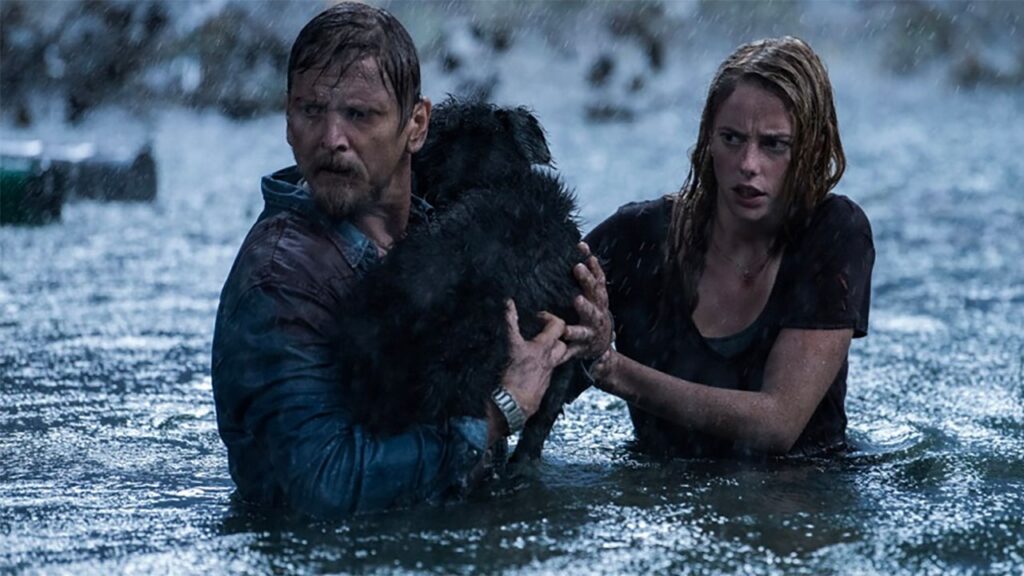 Crawl – Intrappolati. Horror, evento il 27 luglio nella cinepiscina di Cinecittà World