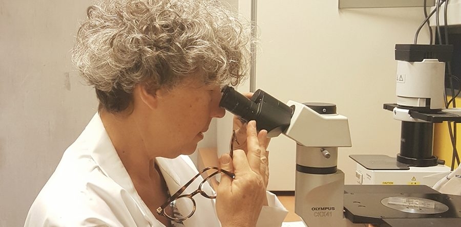 Anakoinosis, un principio terapeutico contro il tumore