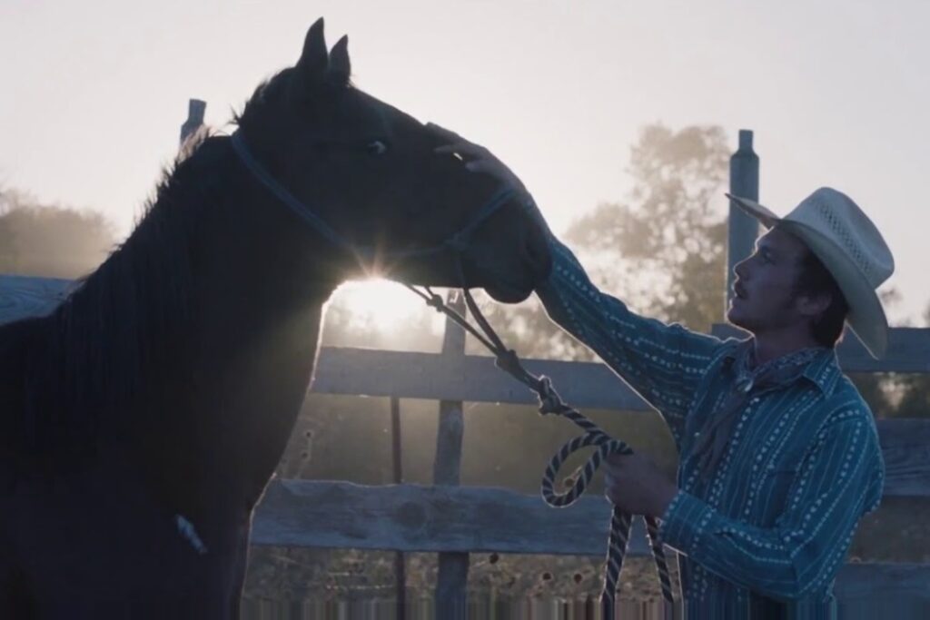 “The rider”: bellissimo e premiato a Cannes, storia vera tra uomo e cavallo