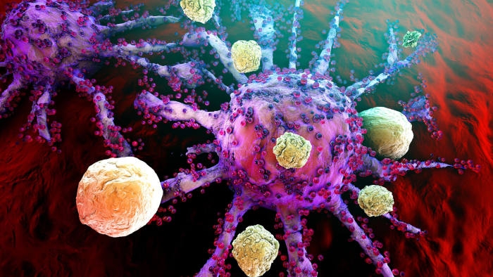 1° Workshop Therapeutic Antibody Workshop. I meccanismi e le applicazioni più all’avanguardia nella lotta contro i tumori 