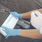 Juno_cancer_elephant_electrochemotherapy_evvivax_3_800px