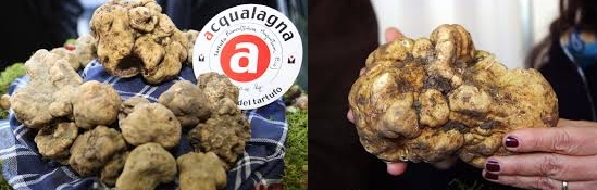 Il Tartufo Bianco di Acqualagna conquista Roma