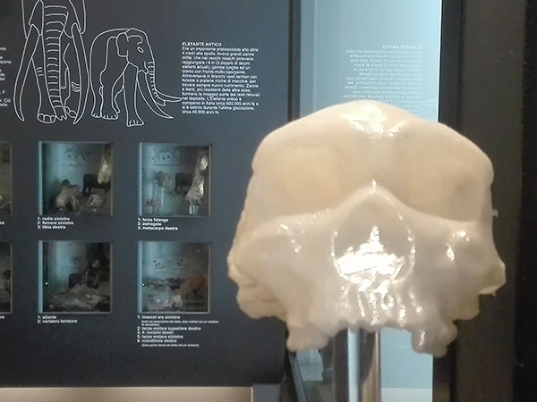 Roma, il Museo di Casal de’ Pazzi
