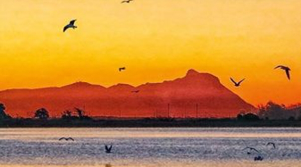 Libri. “L’estate del mirto selvatico” di Gian Luca Campagna. Il Circeo si tinge di nero. Recensione
