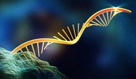 Taglia e cuci dell’RNA: conoscere il meccanismo di splicing per curare malattie complesse