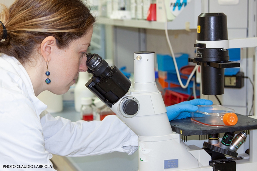 Covid-19: accordo tra Takis e Rottapharm Biotech sullo sviluppo del vaccino