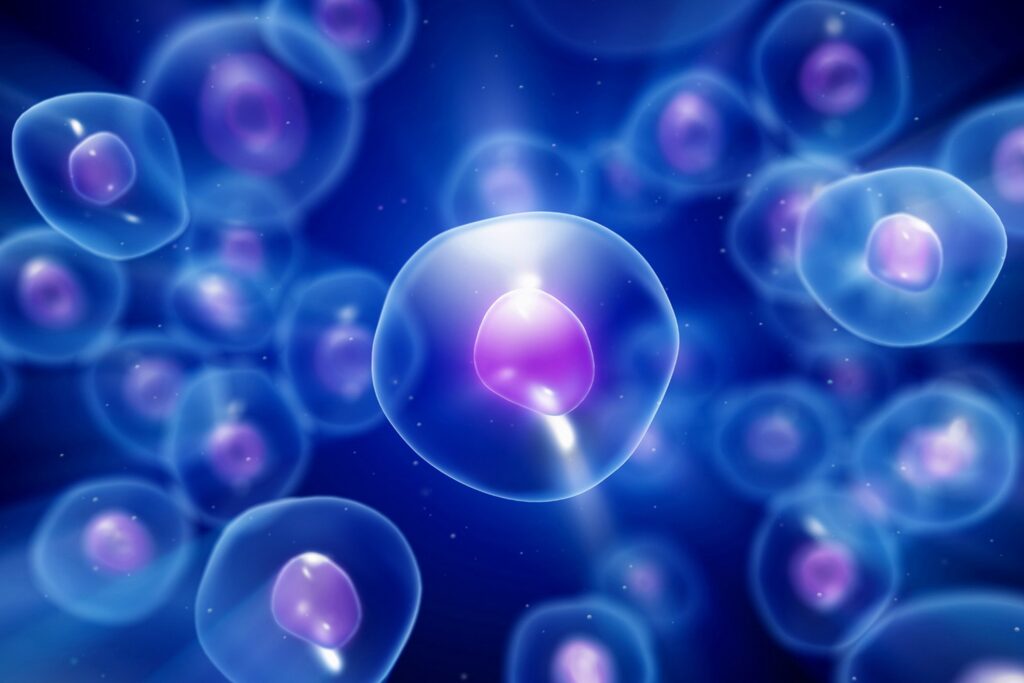 Ricerca. Un’alternativa alla chemioterapia per il trattamento del cancro negli animali e nell’uomo