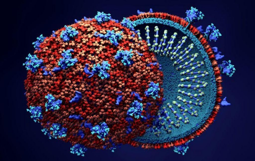 Una nuova ricerca spiega l’attacco multiplo di SARS-CoV-2 e come si diffonde l’infezione da COVID-19